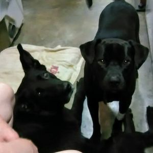 Meet your Posher, Sherri